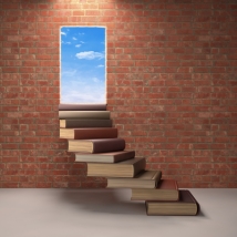 Books leading to a door in a brick wall